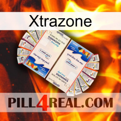 Xtrazone kamagra1